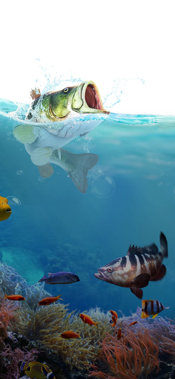 Let's Fish: Fishing Simulator - Apps on Google Play
